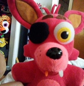 Meet your Posher, Benjamin